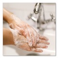 Hand Soaps | Dial Professional 02936 7.5 oz. Antibacterial Foaming Hand Wash - Original Scent image number 4