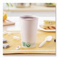 Cups and Lids | SOLO 316PLA-PLANET 16 oz Compostable Paper Hot Cups - White/Green (1000/Carton) image number 6
